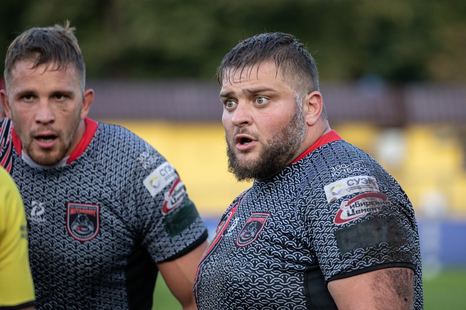 Богатырь мамука. Пилпани мамука мамиевич. Мамука хечикови. Богатырь мамука. Братья ильи муромца.